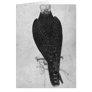 Hawk on hand