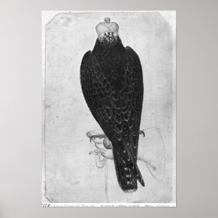 Hawk on hand poster