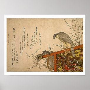 Hawk on Screen Perch Poster