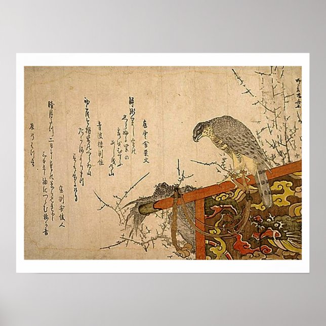 Hawk on Screen Perch Poster (Front)