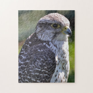 Hawk Puzzle/Jigsaw Jigsaw Puzzle