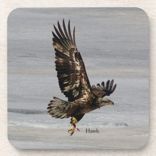Hawk set of 6 hard plastic coasters