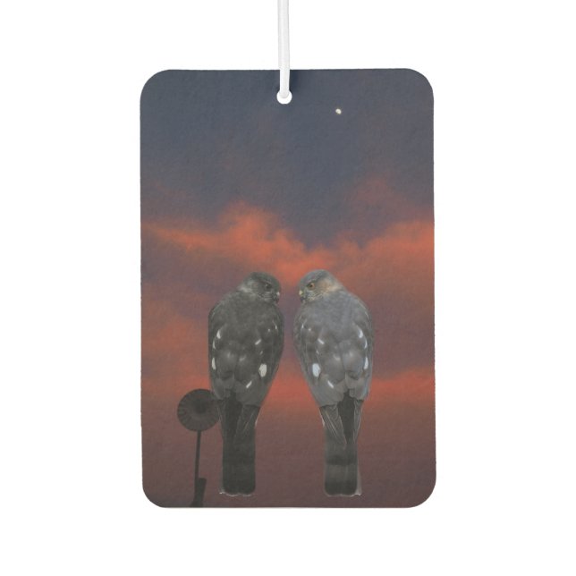 Hawk Storm Air Freshener (Front)