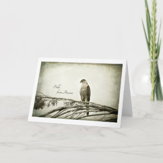Hawk, vintage style, blank notecard