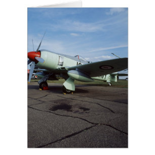 Hawker Sea Fury at CAF, Minnesota Wing, at the 2