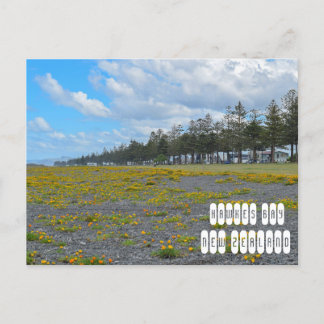 Hawkes Bay in New Zealand Postcard
