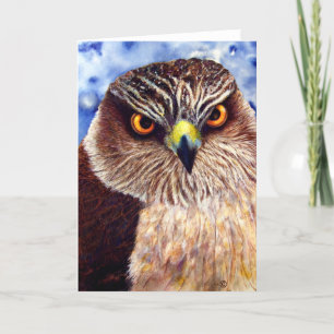 Hawkeyes Greeting Card
