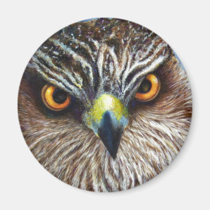 Hawkeyes Magnet
