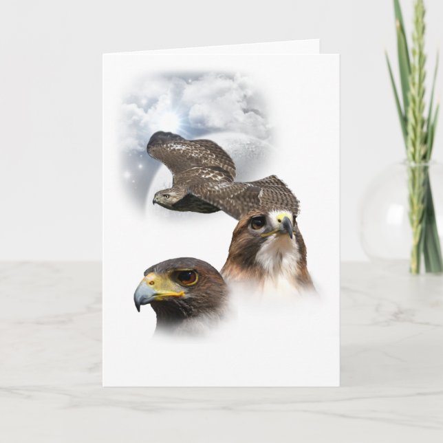 Hawks Holiday Card (Front)