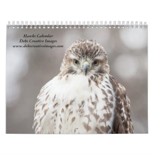 Hawks in the wild 2026 calendar
