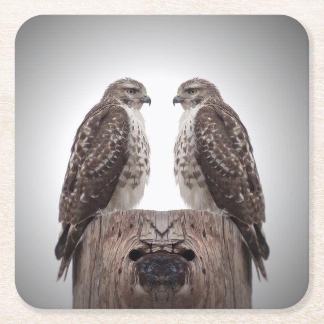 Hawks on a post square paper coaster (Front)