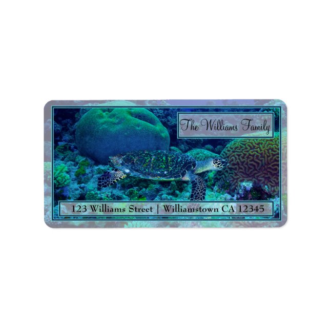 Hawksbill Sea Turtle Address Labels (Front)