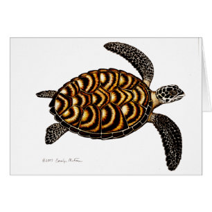 Hawksbill Sea Turtle Card