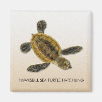 Hawksbill Sea Turtle Hatchling Magnet
