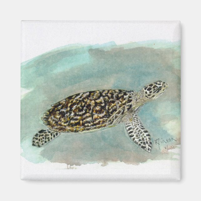 Hawksbill Sea Turtle Magnet (Front)