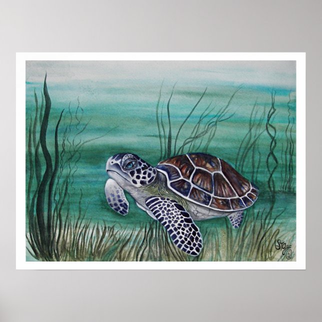 Hawksbill Sea Turtle Poster (Front)