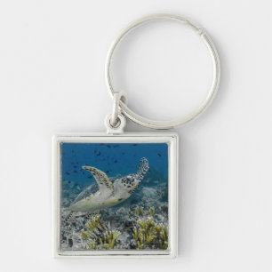 Hawksbill Sea Turtle Swimming Keychain