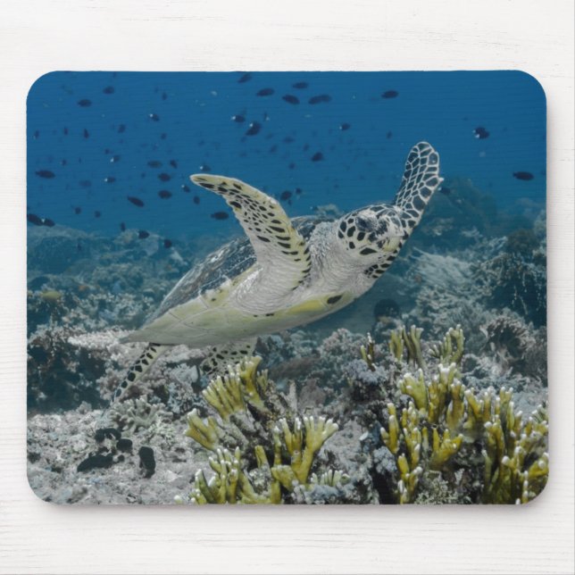 Hawksbill Sea Turtle Swimming Mouse Pad (Front)