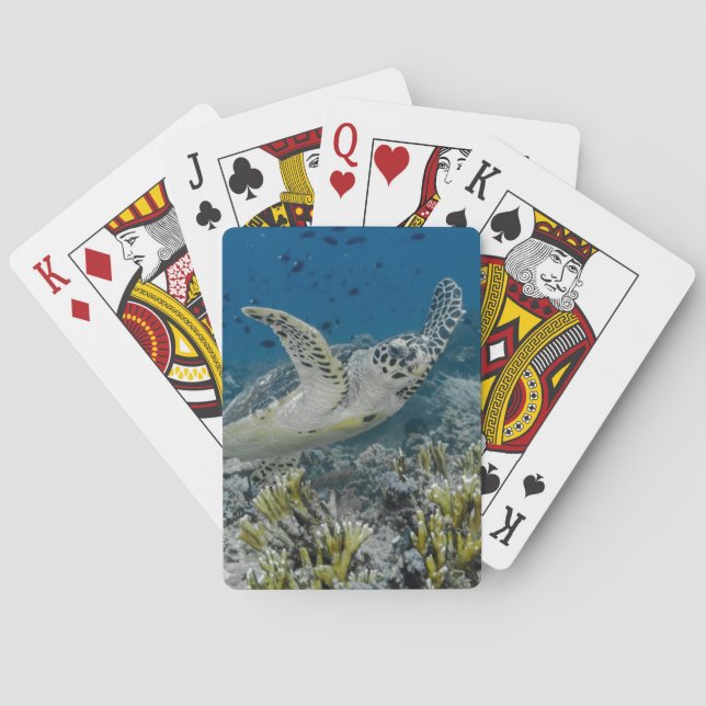 Hawksbill Sea Turtle Swimming Playing Cards (Back)
