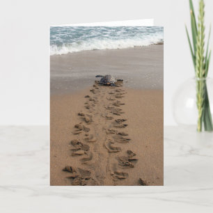 Hawksbill Turtle Trek note card