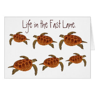Hawksbill Turtles card
