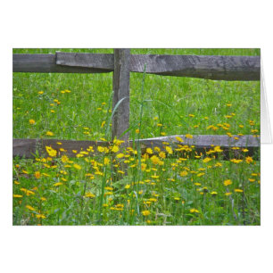 Hawkwei à Split Rail Fence éléments correspondants
