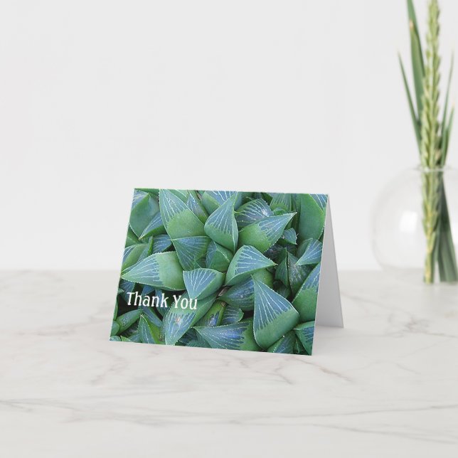 Haworth Cartes de remerciements Plante succulents (Devant)