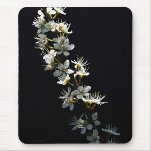 Hawthorn Flowers mpcn Mouse Pad
