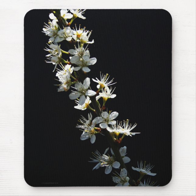 Hawthorn Flowers mpcnm Mouse Pad (Front)