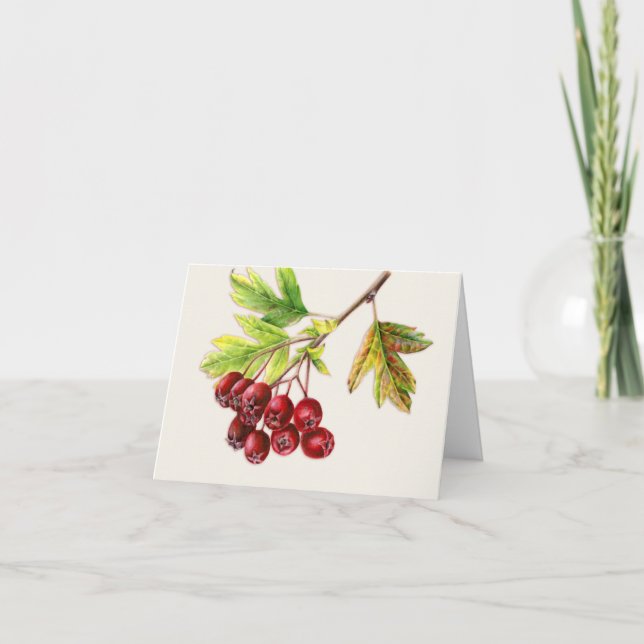 Hawthorn fruits fine art fall everyday card (Front)