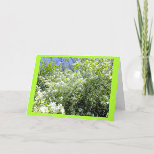 Hawthorn Tree in Flower Blank Note Card