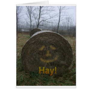 Hay!