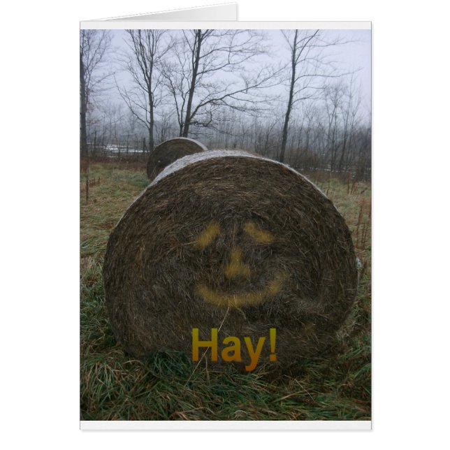 Hay! (Front)