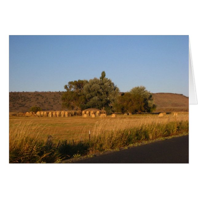 Hay (Front Horizontal)