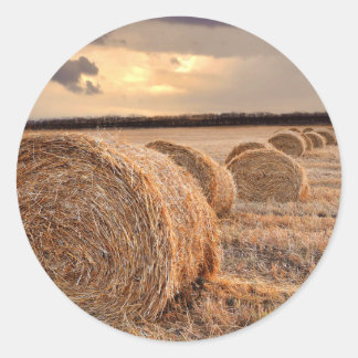 Hay Bail Farmer Ag Agriculture sticker
