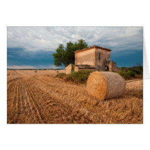 Hay bale in Provence field