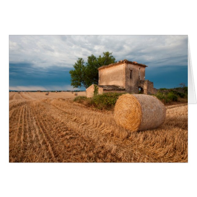 Hay bale in Provence field (Front Horizontal)