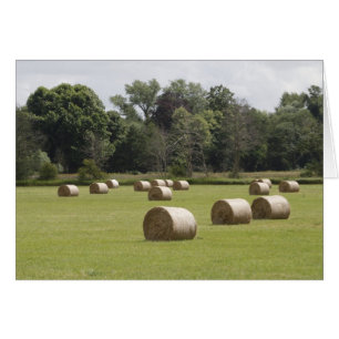 Hay bales