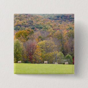 Hay bales and fall foliage, on a farm in 2 inch square button
