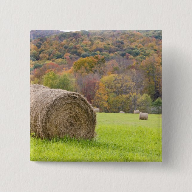 Hay bales and fall foliage on farm, 2 inch square button (Front)