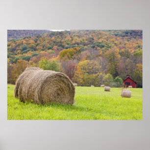 Hay bales and fall foliage on farm, poster