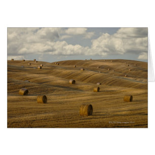 Hay bales and rolling landscape, Tuscany, Italy