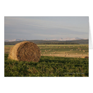 Hay Bales In A Field With Mountains At Sunrise