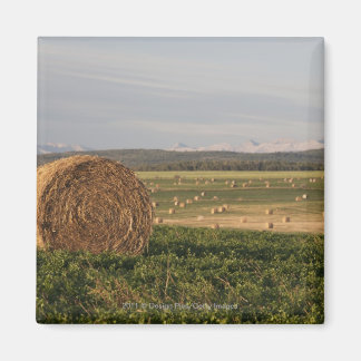Hay Bales In A Field With Mountains At Sunrise Magnet