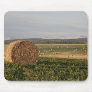 Hay Bales In A Field With Mountains At Sunrise Mouse Pad