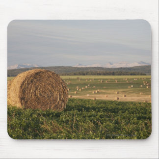 Hay Bales In A Field With Mountains At Sunrise Mouse Pad