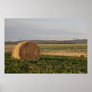 Hay Bales In A Field With Mountains At Sunrise Poster