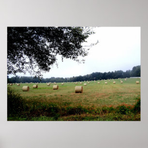Hay Bales of Ocala Florida poster photography art