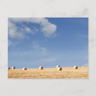 Hay Bales on Field Postcard