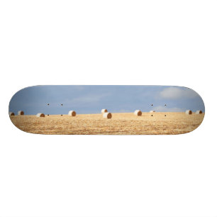 Hay Bales on Field Skateboard